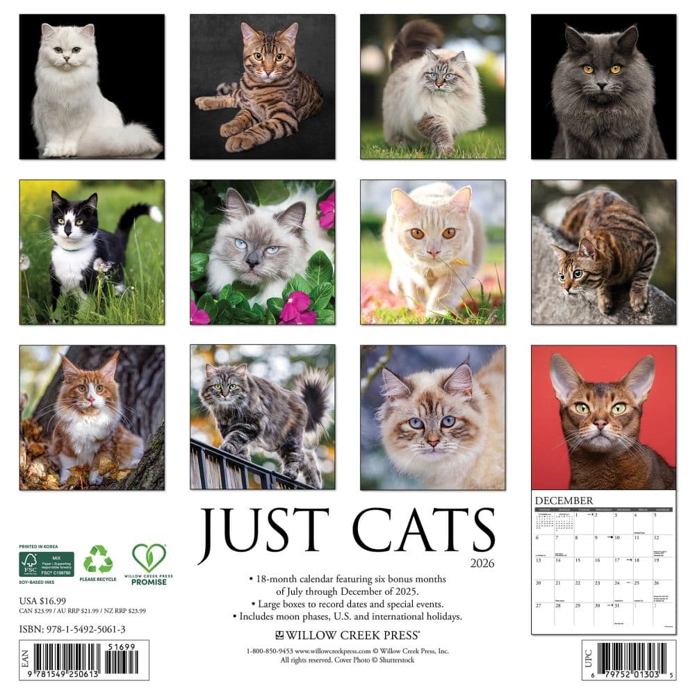 Just Cats 2026 Wall Calendar First Alternate Image