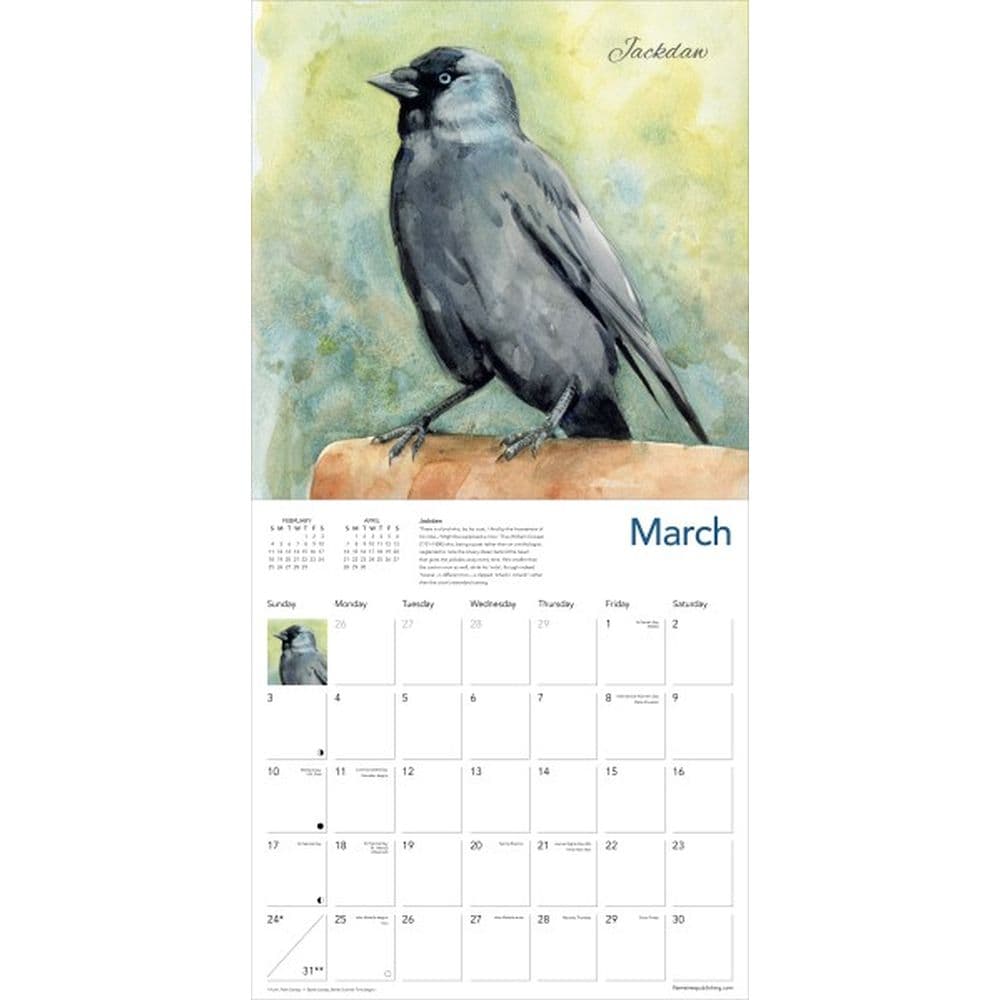 Pendleton Birds 2025 Wall Calendar