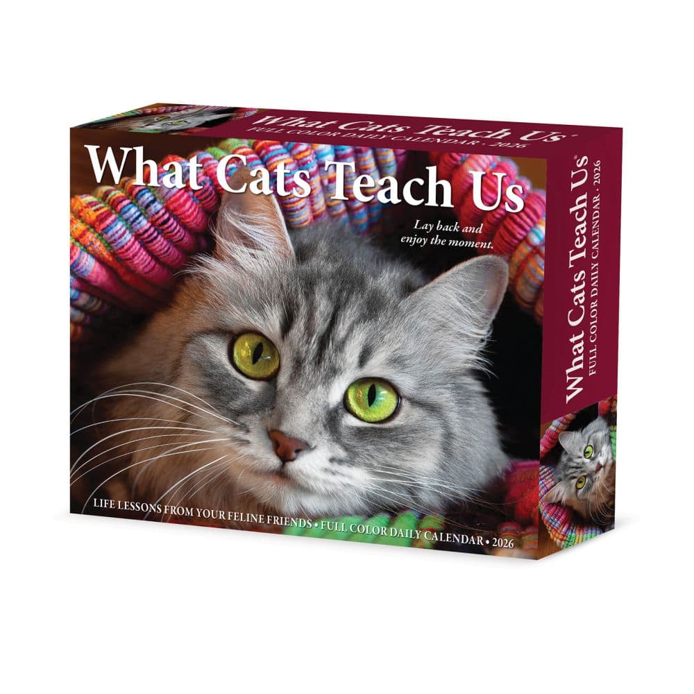 Cats What Cats Teach Us 2026 Desk Calendar Main Image