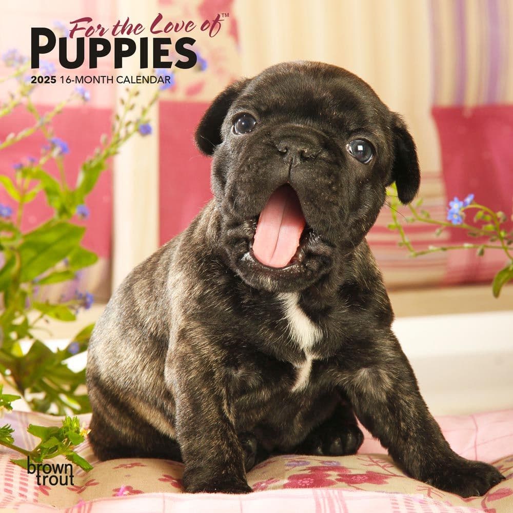 Puppies For the Love 2025 Mini Wall Calendar front cover