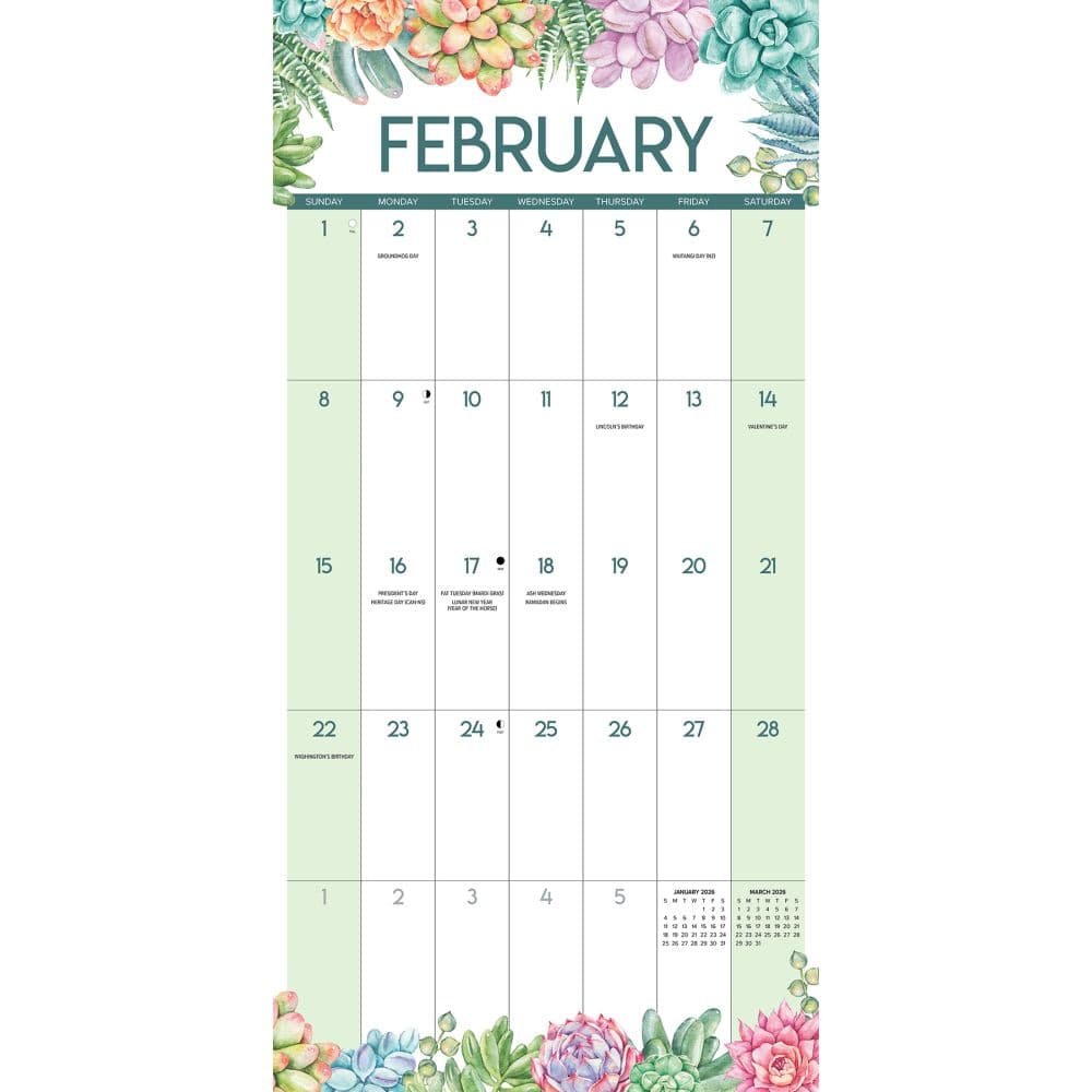 Succulents 2026 Wall Calendar Second Alternate Image