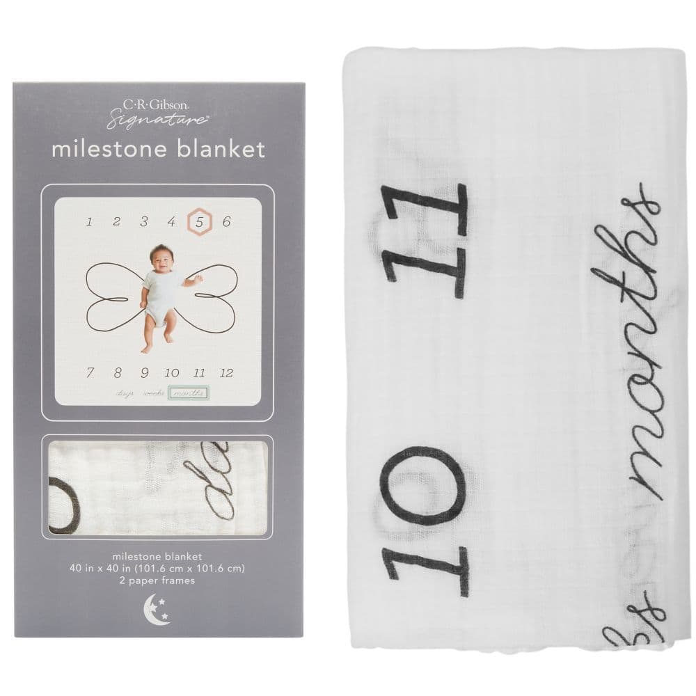 Hello Baby Milestone Blanket Alternate Image 5