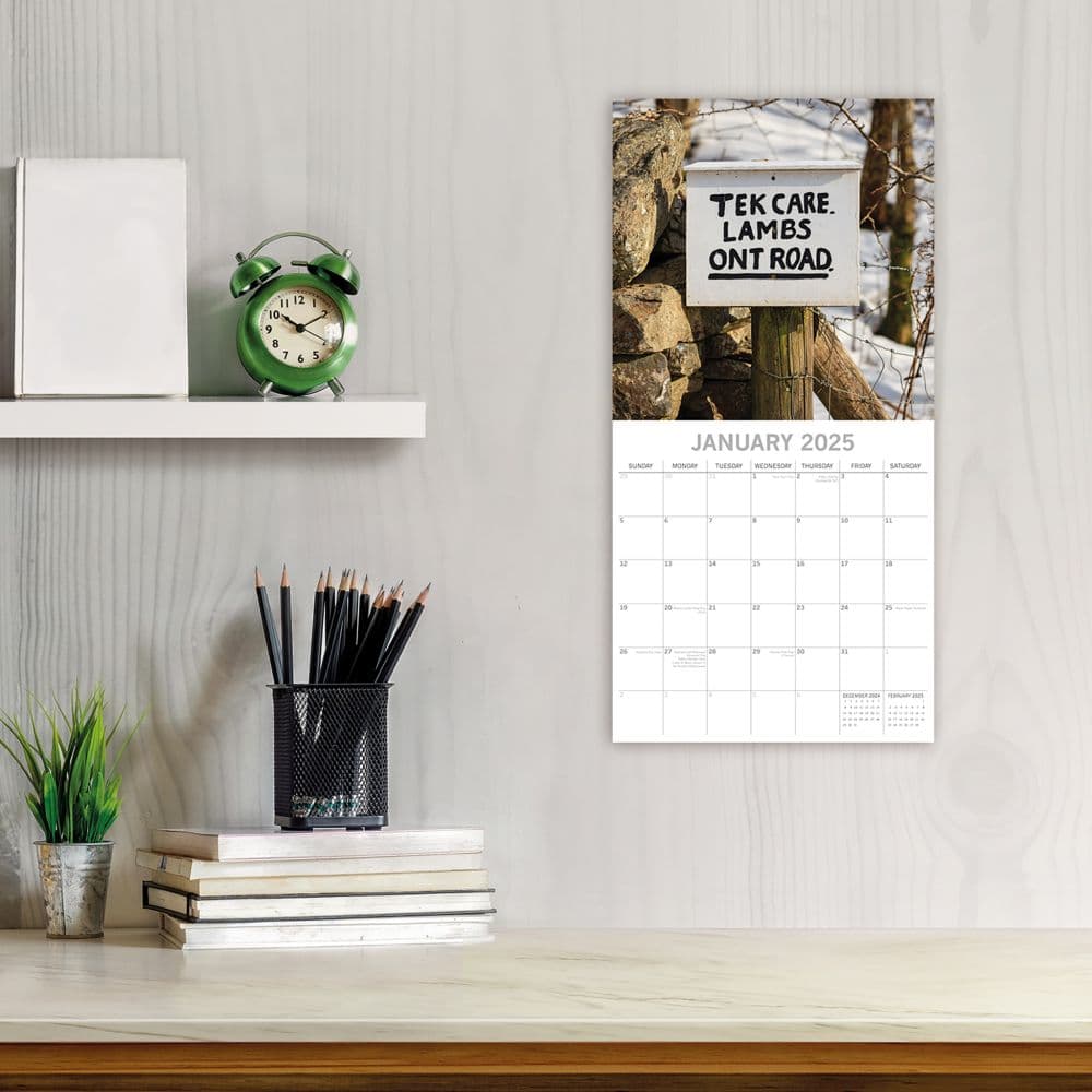 Hilarious Road Signs 2025 Wall Calendar