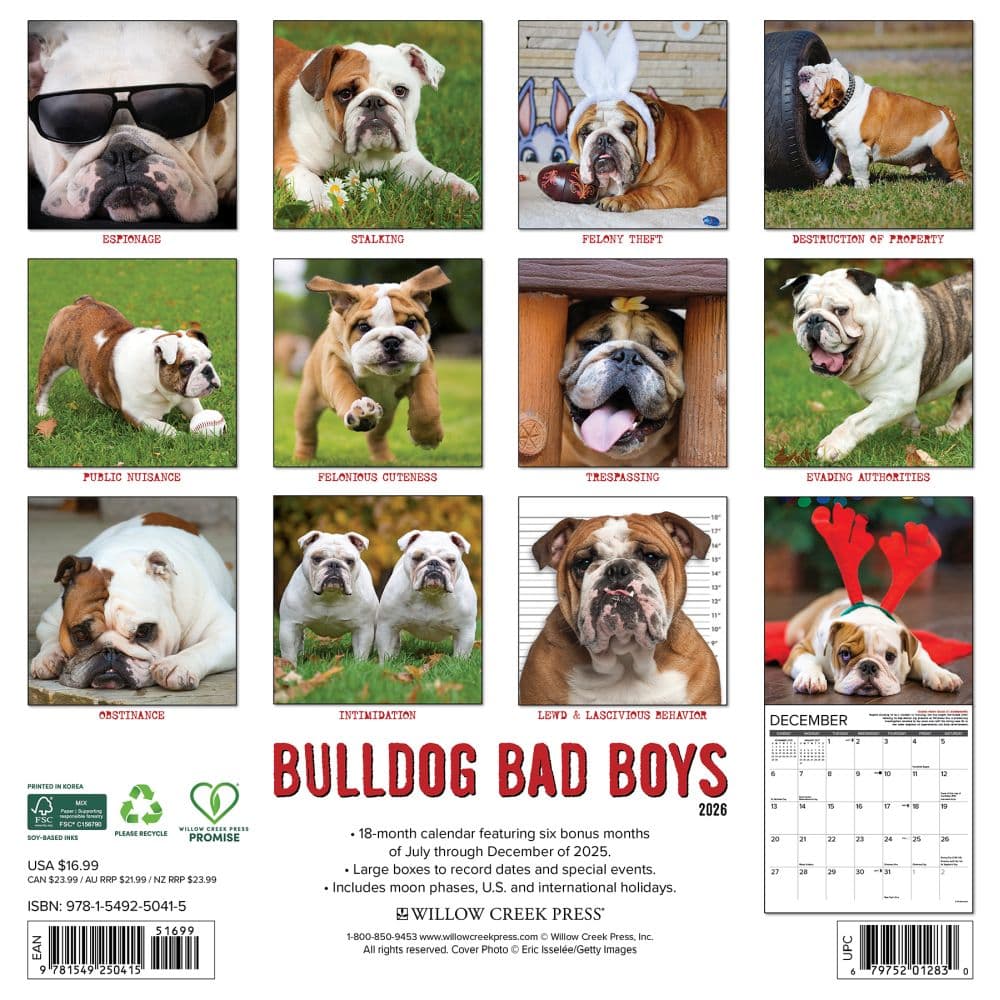 Bulldog Bad Boys 2026 Wall Calendar First Alternate Image