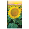 image Sunflower 2yr 2024 Pocket Planner Main Image