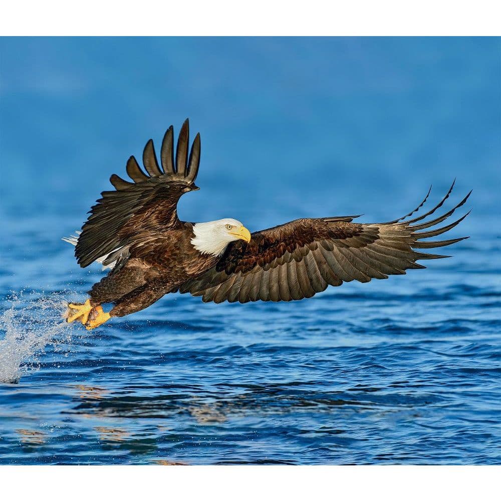 Eagles Wwf 2022 Wall Calendar - Calendars.com