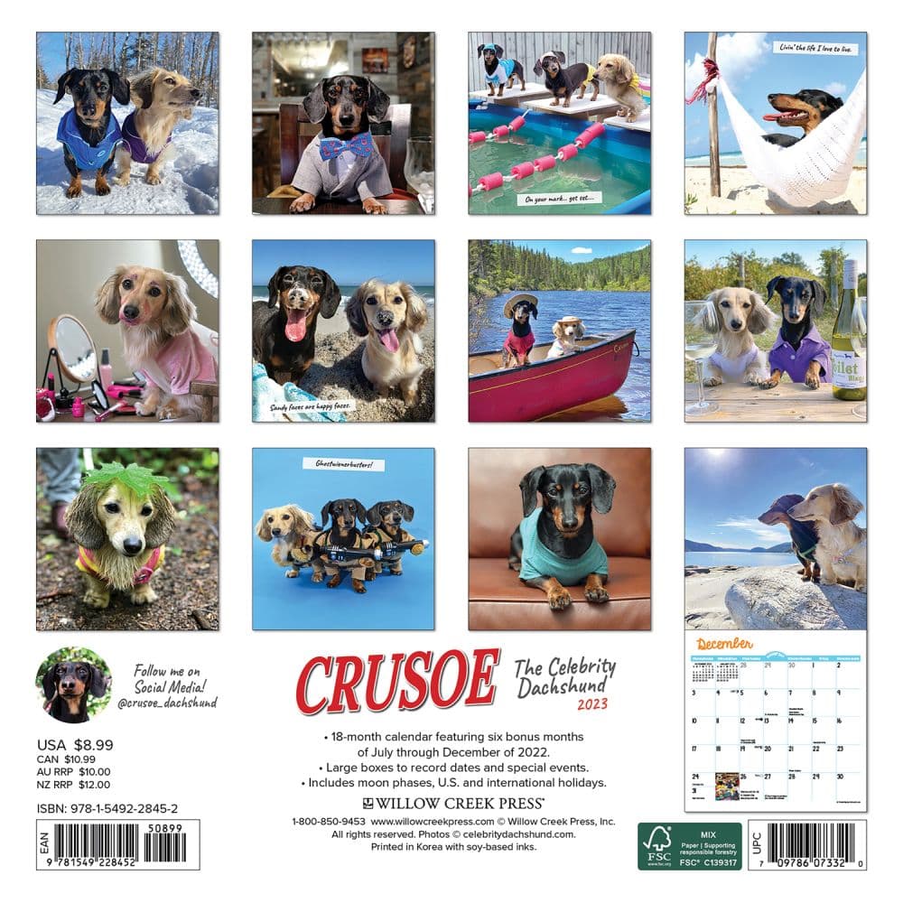 Crusoe the Celebrity Dachshund 2023 Mini Wall Calendar - Calendars.com