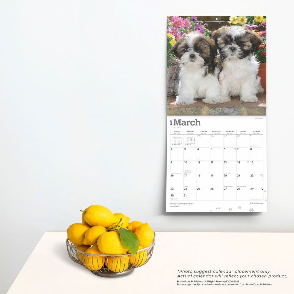 Shih Tzu Puppies 2025 Wall Calendar Fourth Alternate Image width=&quot;1000&quot; height=&quot;1000&quot;