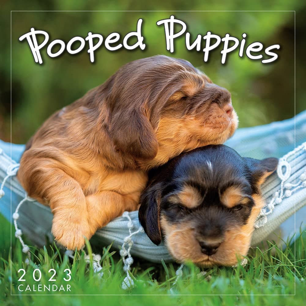 Sellers Publishing Pooped Puppies 2023 Mini Wall Calendar