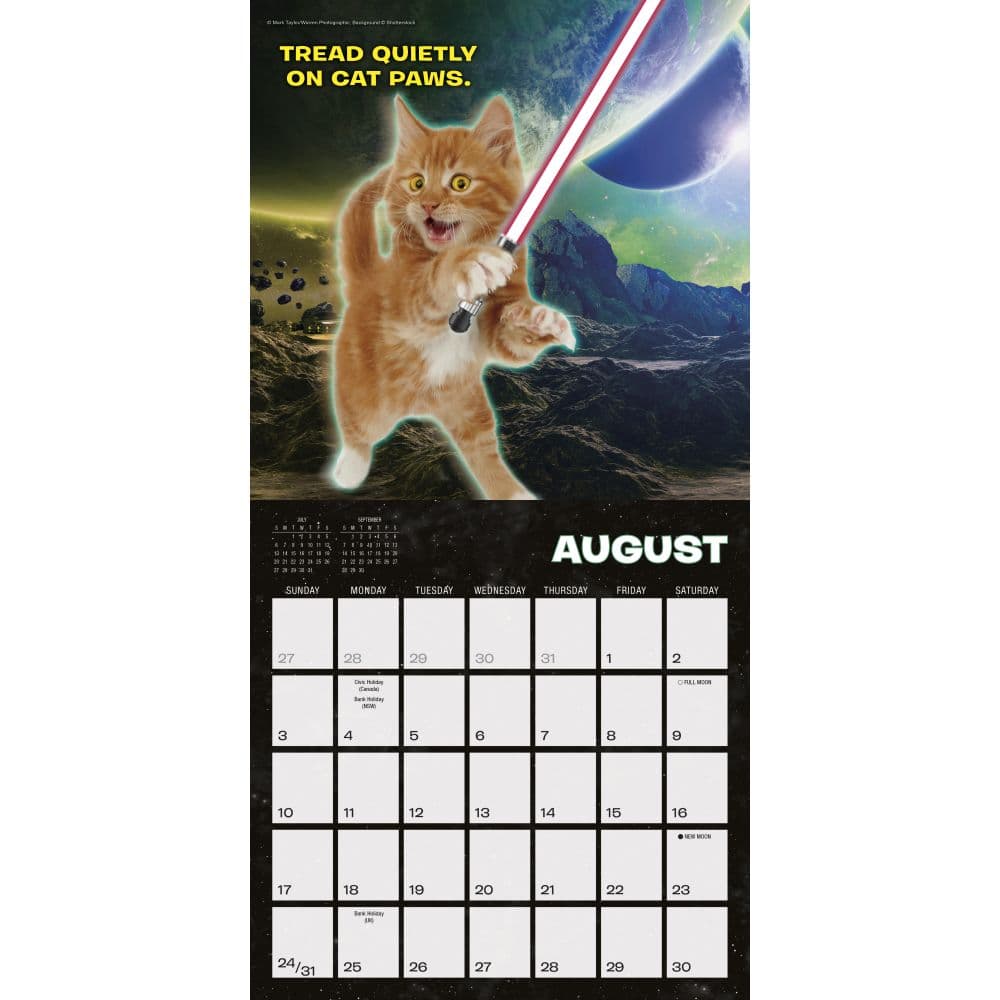 Cat Wars 2025 Mini Wall Calendar Third Alternate Image width=&quot;1000&quot; height=&quot;1000&quot;
