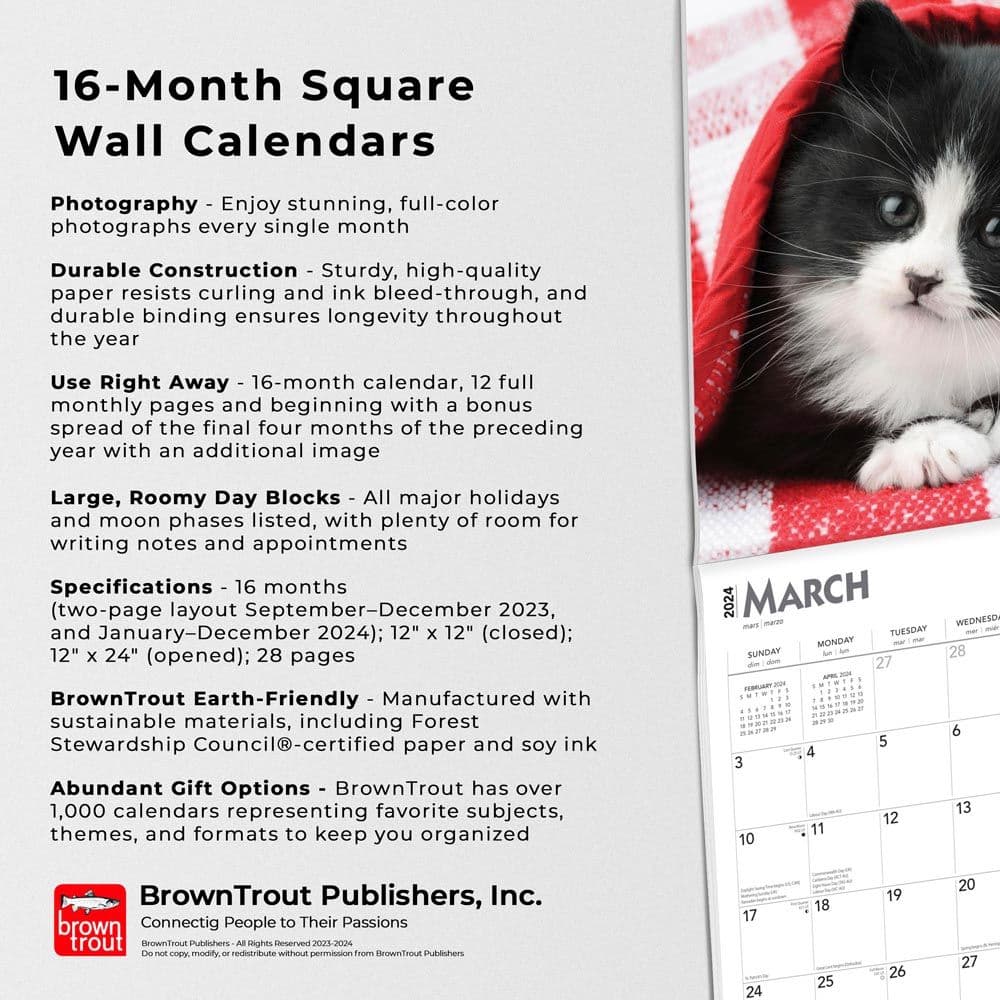 Kittens I Love 2024 Wall Calendar Alternate Image 4