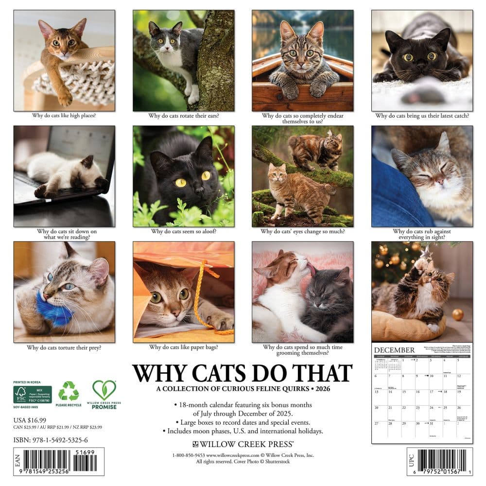 Why Cats Do That 2026 Wall Calendar First Alternate Image