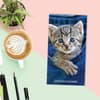 image Cute As A Kitten 2 Year 2025 Pocket Planner Third Alternate Image width=&quot;1000&quot; height=&quot;1000&quot;