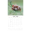 image Hamsters 2026 Wall Calendar Second Alternate Image