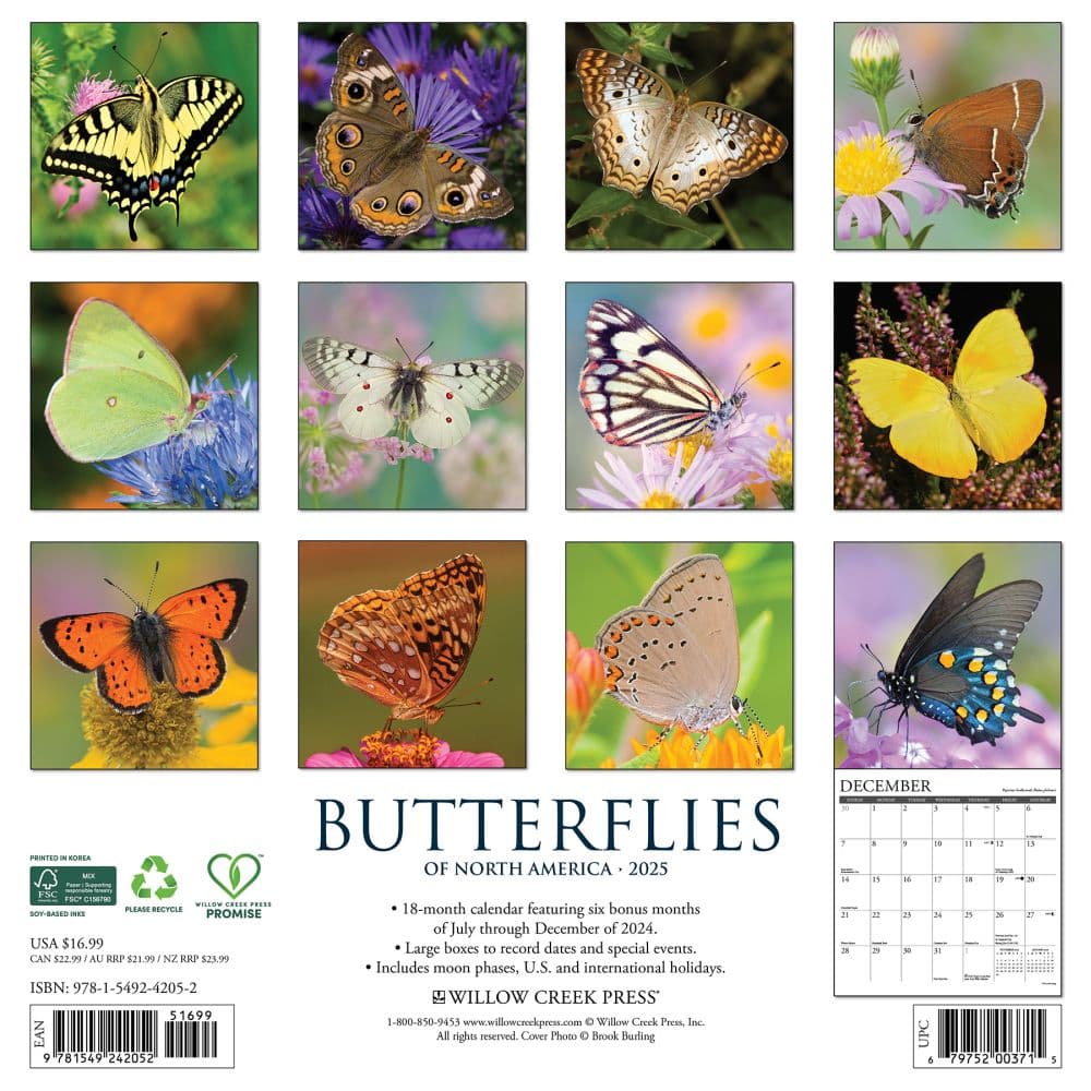 Butterflies 2025 Wall Calendar First Alternate Image width=&quot;1000&quot; height=&quot;1000&quot;