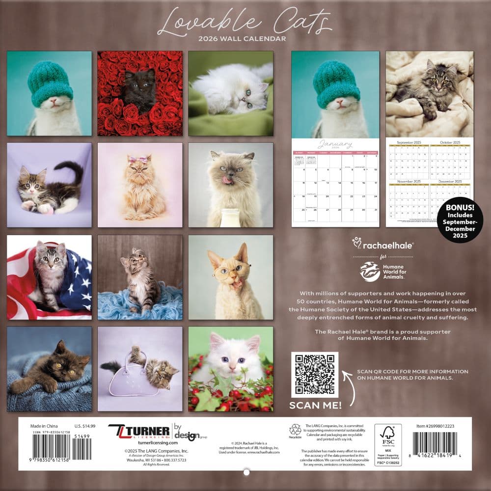 Rachael Hale Loveable Cats 2026 Wall Calendar First Alternate Image