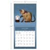 image Cats 2026 Wall Calendar_ALT4