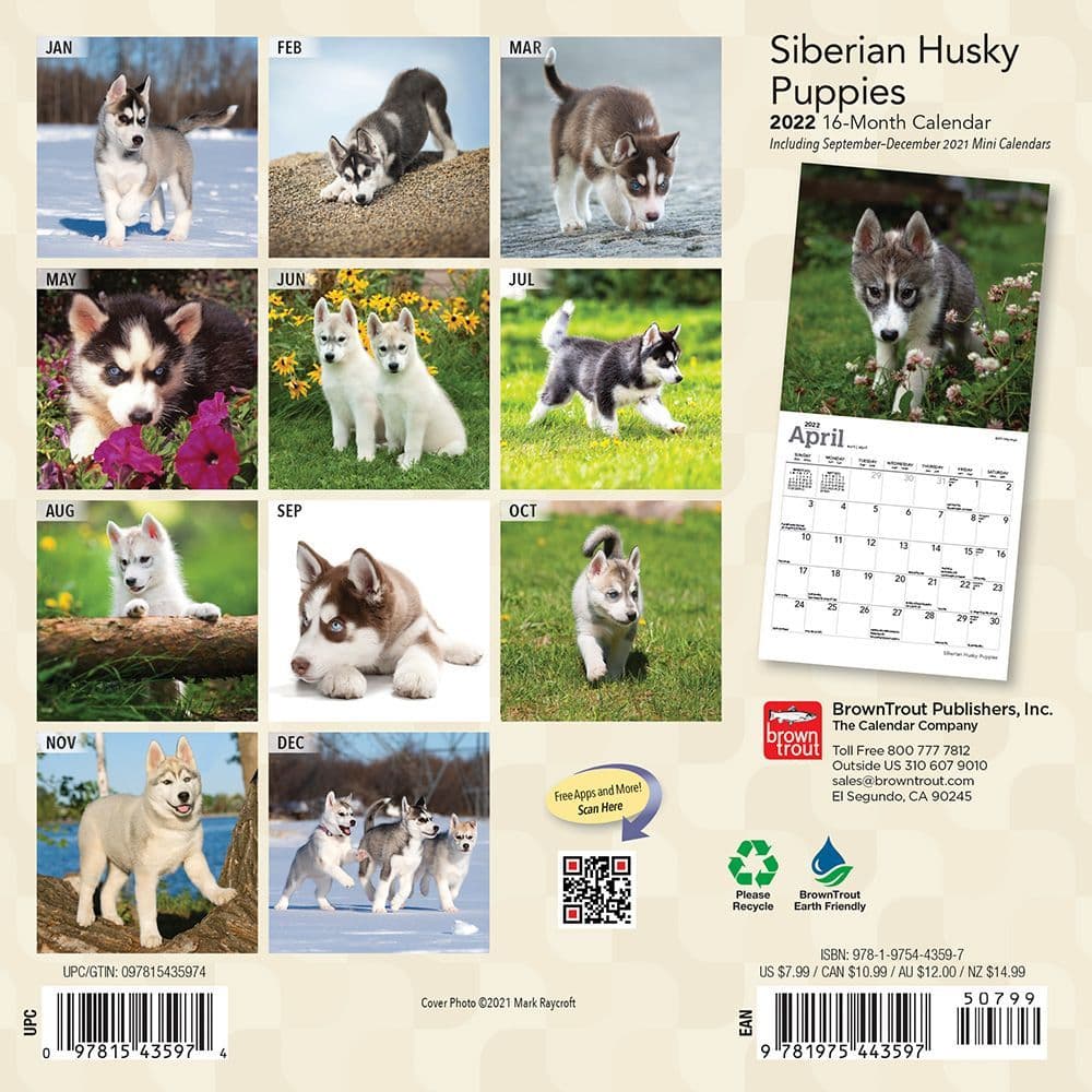 Husky Dogs Black and White Calendar Dogs Calendar 