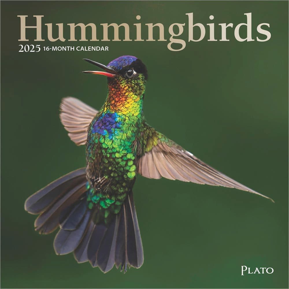 Hummingbirds Plato 2025 Mini Wall Calendar Main Image