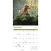 image Nova Scotia Duck Tolling Retriever 2025 Wall Calendar Fourth Alternate Image width=&quot;1000&quot; height=&quot;1000&quot;