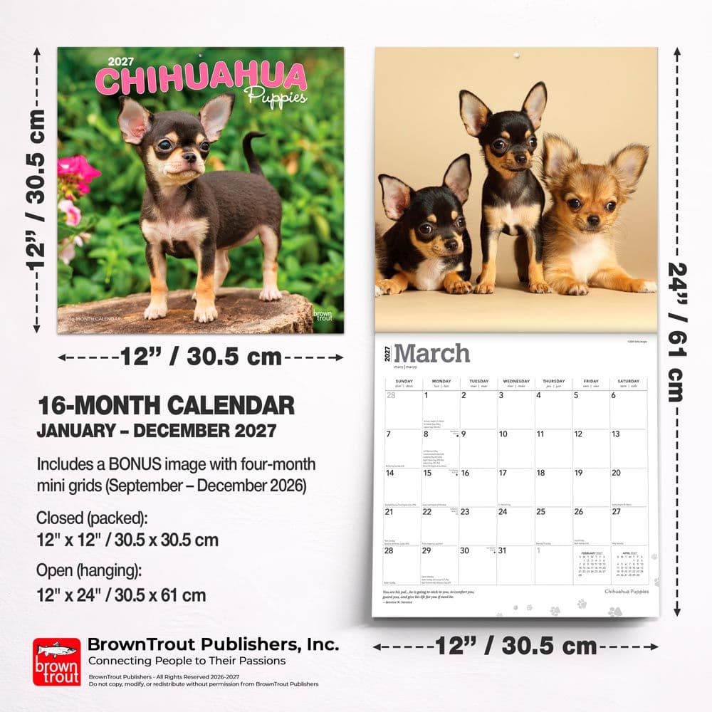 Chihuahua Puppies 2027 Wall Calendar Sixth Alternate Image