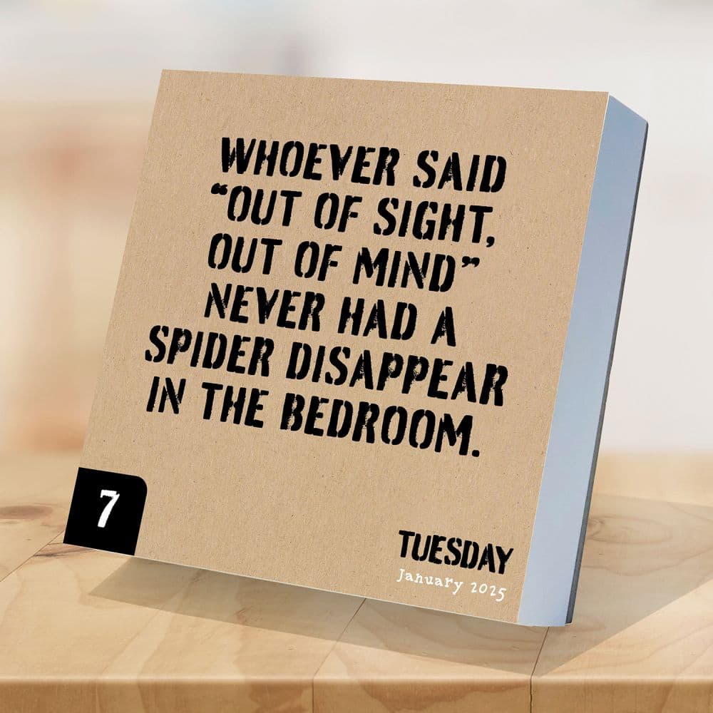 Anti Affirmations 2025 Desk Calendar