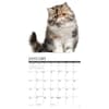 image Just Persians 2025 Wall Calendar Alt2