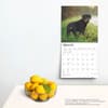 image Rottweilers 2025 Wall Calendar