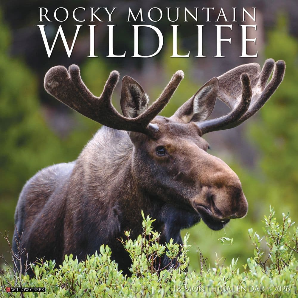 Rocky Mountain Wildlife 2026 Wall Calendar Main Image