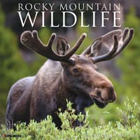 image Rocky Mountain Wildlife 2026 Wall Calendar Main Image