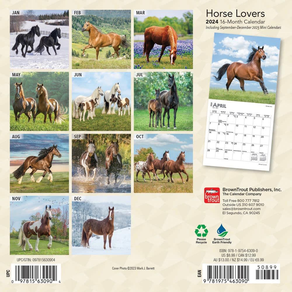 Horses 2024 Mini Wall Calendar - Calendars.com