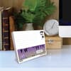 image Tundra 2026 Desk Calendar Second Alternate Image
