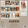 image Aspen The Mountain Pup 2024 Wall Calendar First Alternate Image width=&quot;1000&quot; height=&quot;1000&quot;