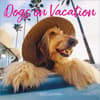 image Dogs on Vacation 2025 Wall Calendar Main Product Image