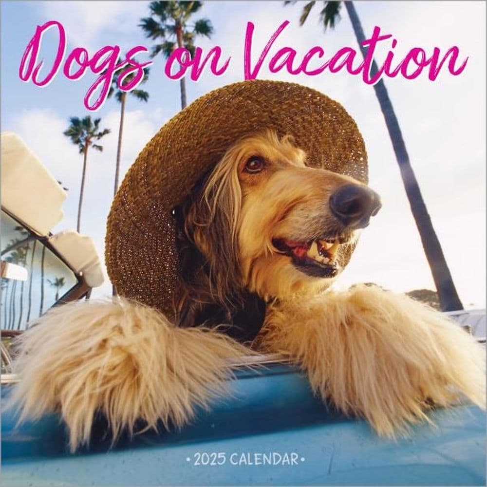 Dogs on Vacation 2025 Wall Calendar Main Product Image