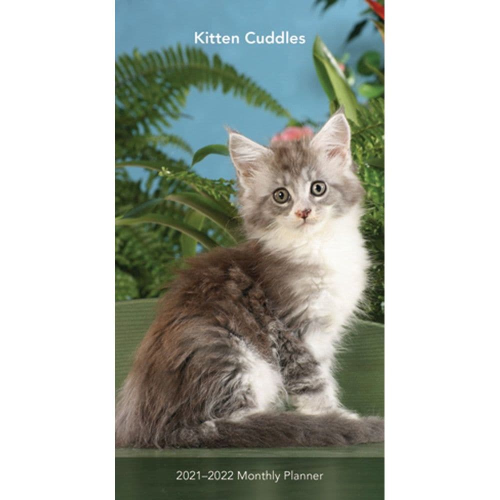 Kittens Two Year Pocket Planner