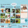 image Dog is Good Fur Wisdom 2026 Wall Calendar First Alternate Images
