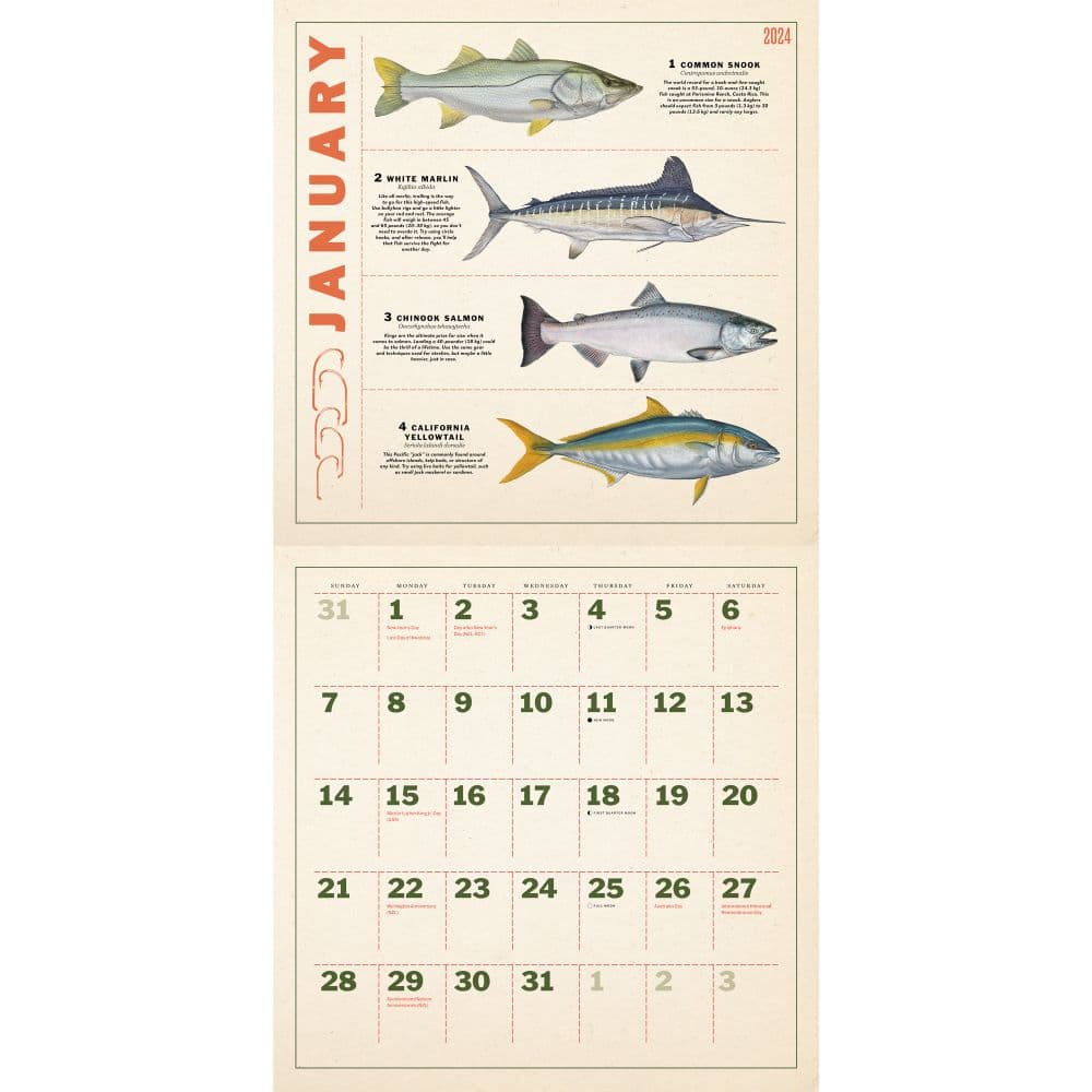 Fishing Illustrations 2024 Wall Calendar 
