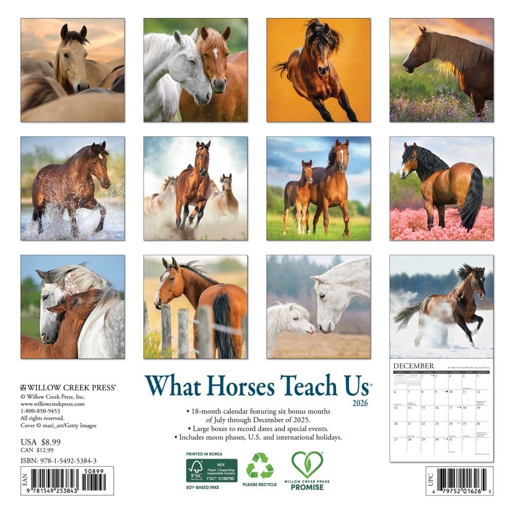 What Horses Teach Us 2026 Mini Wall Calendar First Alternate Image