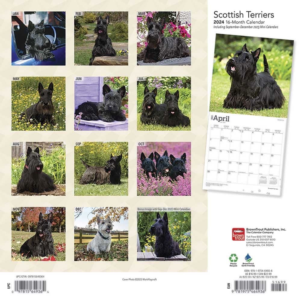 Scottish Terriers 2024 Wall Calendar