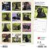 image Scottish Terriers 2024 Wall Calendar First Alternate Image width=&quot;1000&quot; height=&quot;1000&quot;