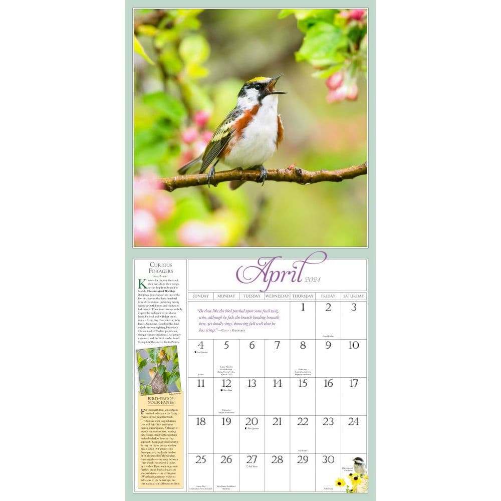 audubon-garden-birds-wall-calendar-calendars