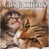 image Cats And Kittens 2024 Desk Calendar Main Product Image width=&quot;1000&quot; height=&quot;1000&quot;
