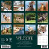 image Rocky Mountain Wildlife 2026 Wall Calendar First Alternate Image