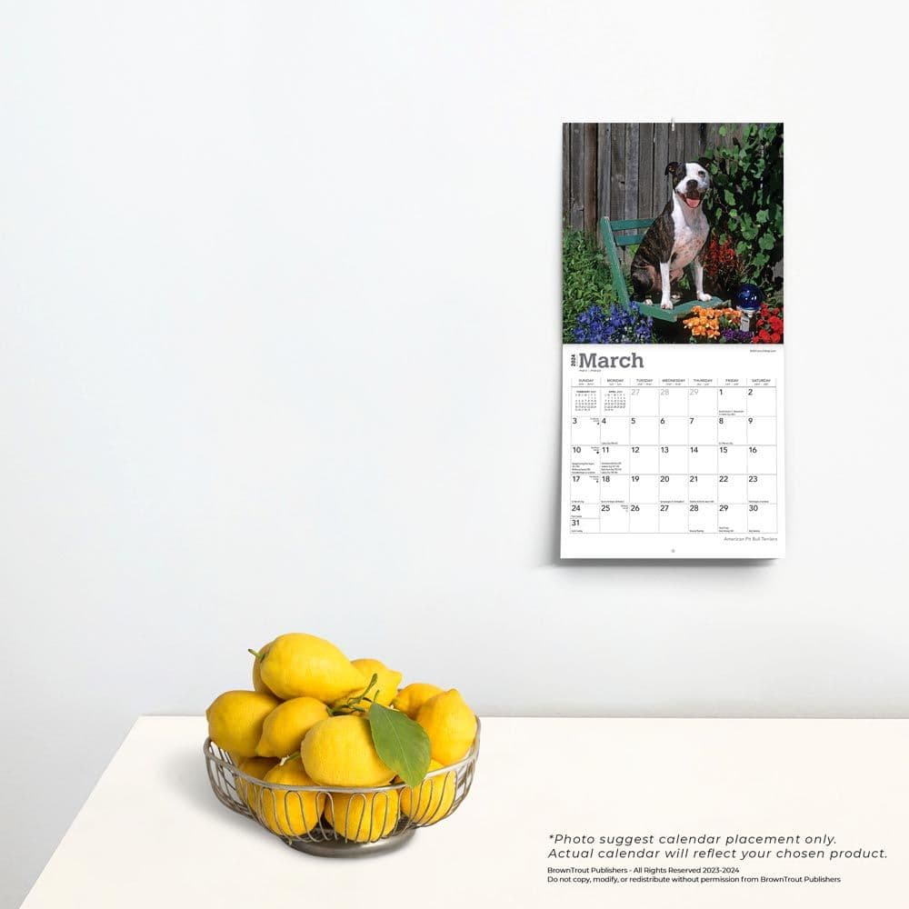 American Pit Bull Terriers 2024 Mini Wall Calendar Third Alternate Image width=&quot;1000&quot; height=&quot;1000&quot;