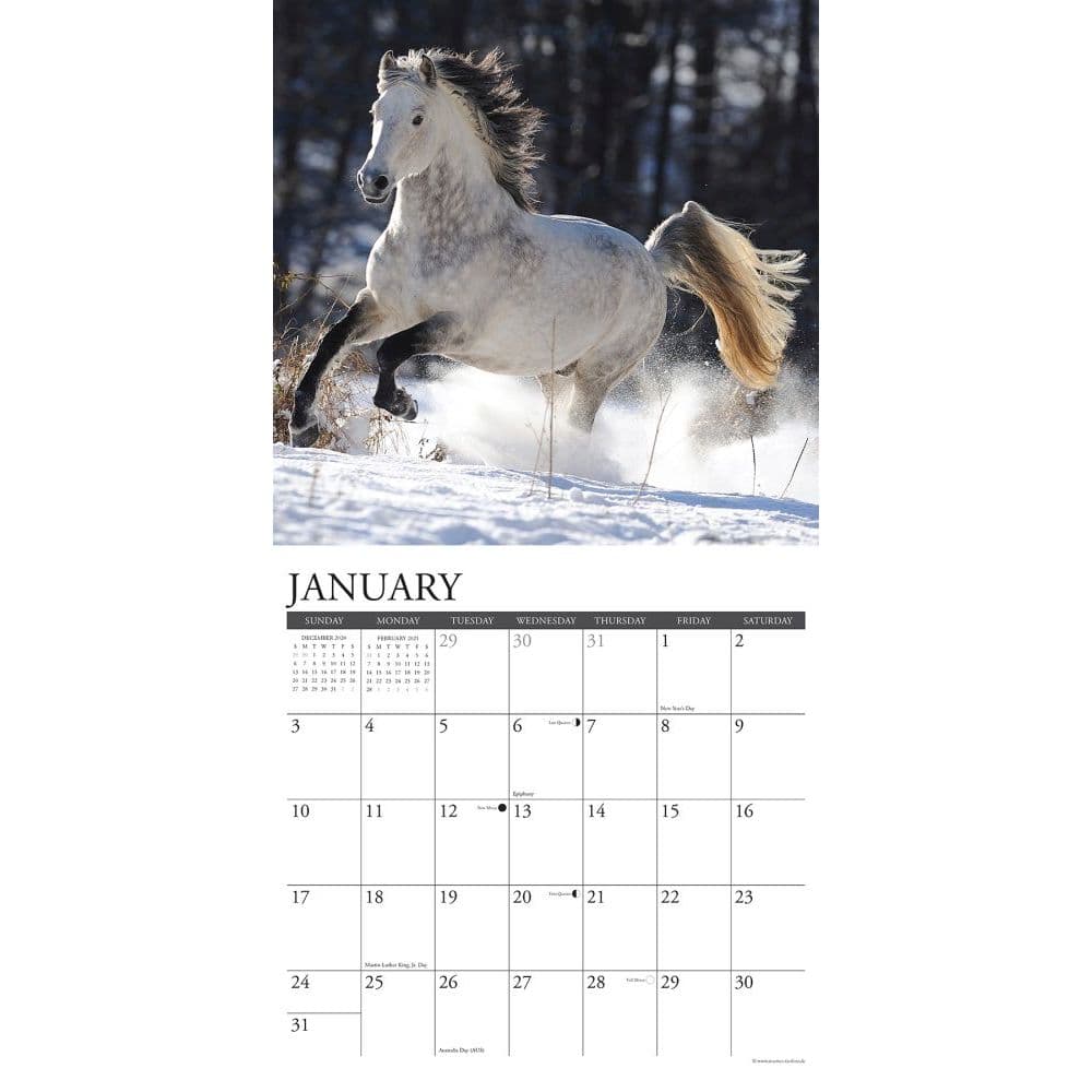 Horses Wall Calendar