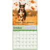 image Dog is Good Fur Wisdom 2026 Wall Calendar Fourth Alternate Images
