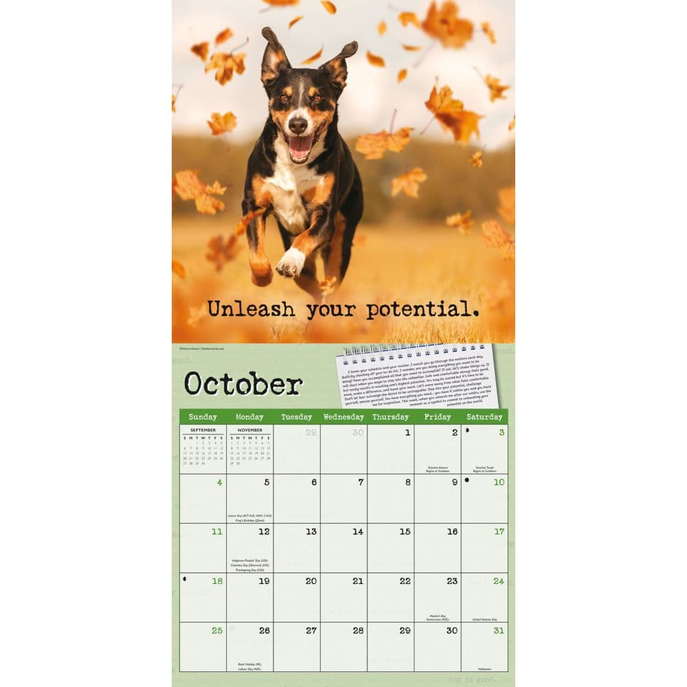 Dog is Good Fur Wisdom 2026 Wall Calendar Fourth Alternate Images