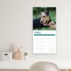 image Airedale Terriers 2024 Wall Calendar Sixth Alternate Image width=&quot;1000&quot; height=&quot;1000&quot;
