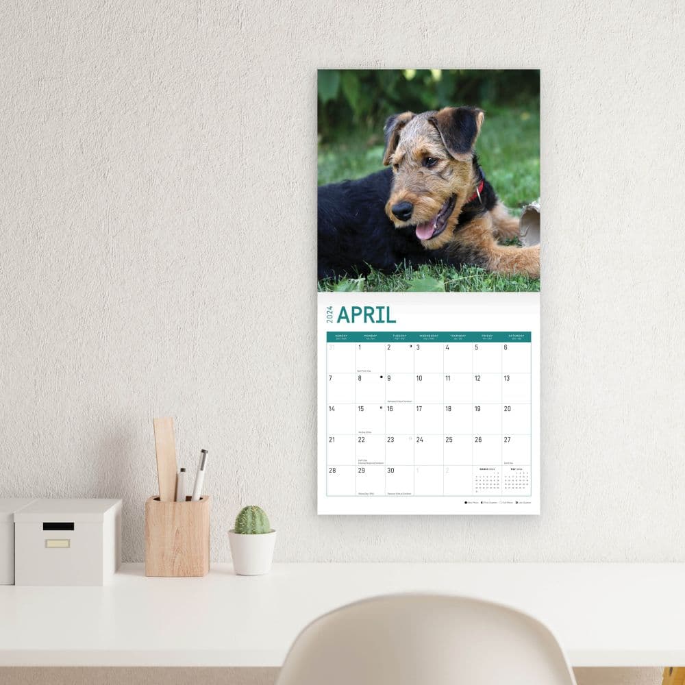 Airedale Terriers 2024 Wall Calendar Sixth Alternate Image width=&quot;1000&quot; height=&quot;1000&quot;